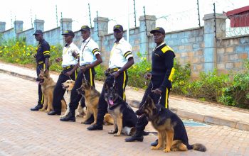 Sniffer Dogs-Dog Handlers